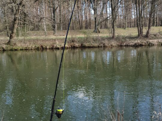 Spree (Neuhausen/Spree)-0