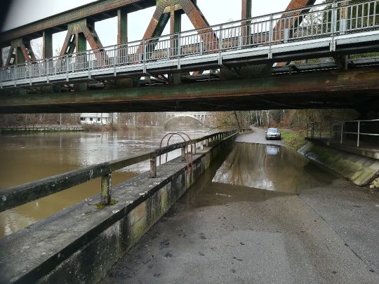 Donau (Scheer) angeln