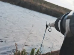 Große Aue (Barenburg)-2