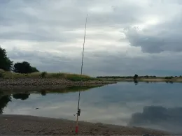 Elbe (Bittkau-Grieben)-4