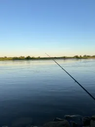 Elbe (Bittkau-Grieben)-2