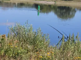 Elbe (Bittkau-Grieben)-1