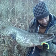 Elbe (Bittkau-Grieben)-2