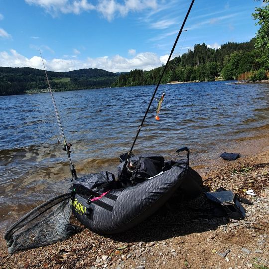Titisee (Titisee - Neustadt) | ALLE ANGELN