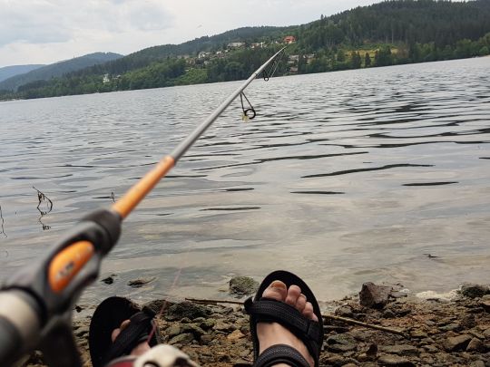 Titisee (Titisee - Neustadt)-4