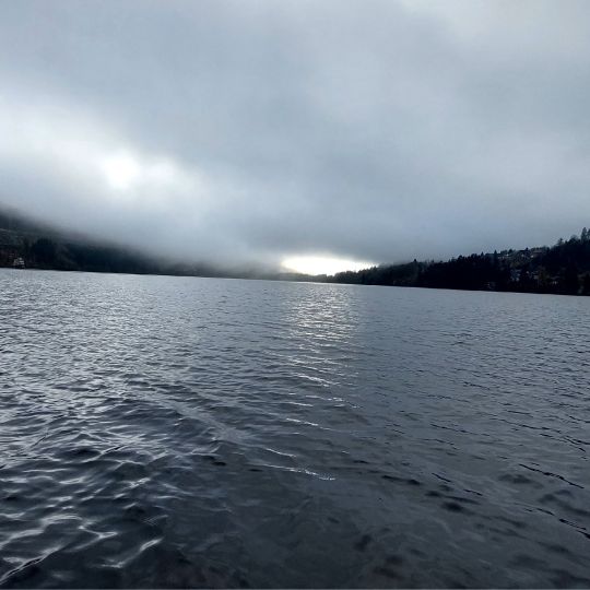 Titisee (Titisee - Neustadt)-1