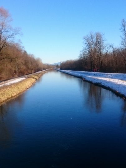 Triftbach (Bad Aibling) angeln