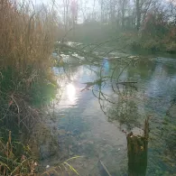 Hammerbach (Rosenheim)