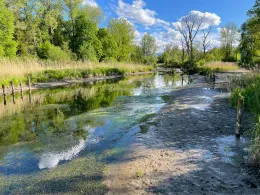 Hammerbach (Rosenheim)-2