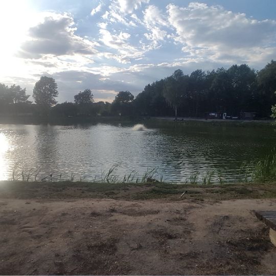 Angelteich Borger See-4