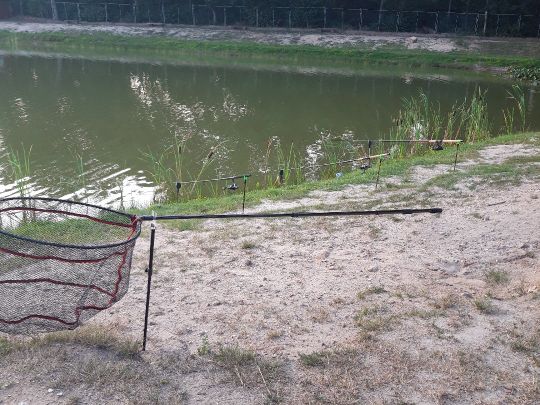 Angelteich Borger See-2