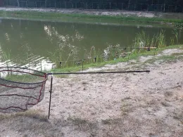 Angelteich Borger See-2