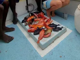 Indischer Ozean (Mauritius)-2