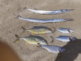 Indischer Ozean (Mauritius)-3