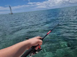 Indischer Ozean (Mauritius)-4