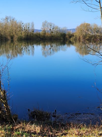 Gut Stau (Fischbeck)-2