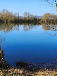 Gut Stau (Fischbeck)-2