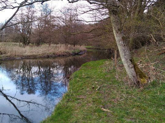 Nybroån-1