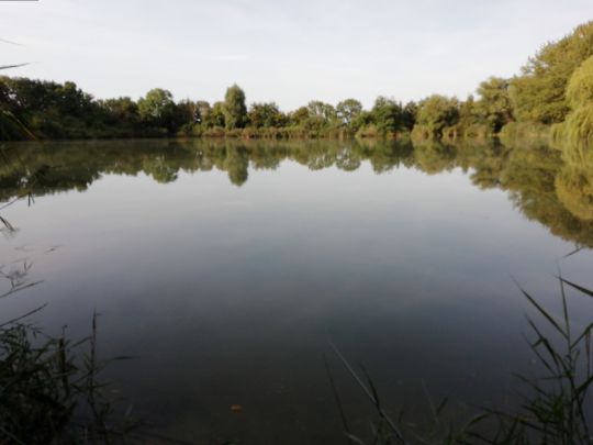 Angerteich (Krostitz)