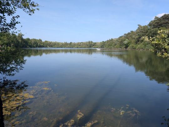 Vereinsgewässer VdA Hiesfeld-1