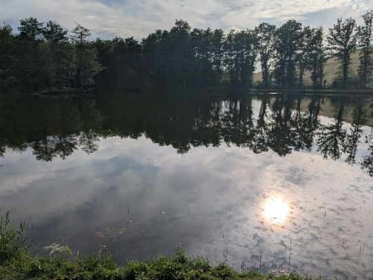 Vereinsgewässer VdA Hiesfeld-2