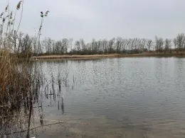 Alte Ziegelei (Feldneuendorf)-1