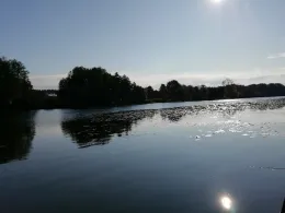 Molchowsee (Alt Ruppin)-1