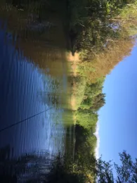 Kiesgrube Velpke 1-1