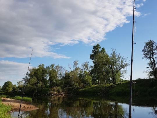 Mulde (Bad Düben)-2