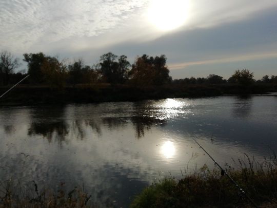 Mulde (Bad Düben)-1