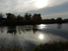 Mulde (Bad Düben)-1