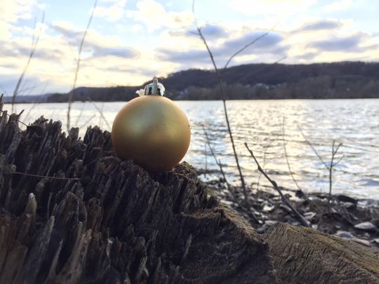 Rhein (Bad Honnef)-3