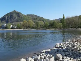 Rhein (Bad Honnef)-2
