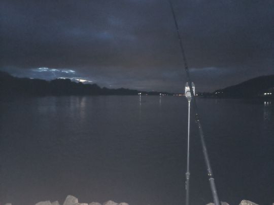 Rhein (Bad Honnef)-4