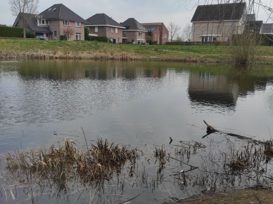 Esdoornlaan (Wehl) -4