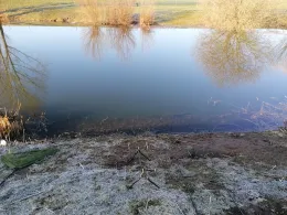 Esdoornlaan (Wehl) -1