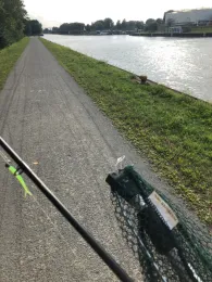 Mittellandkanal (Braunschweig)-1