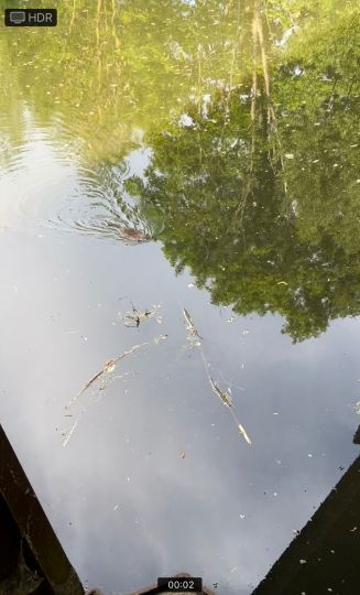 Nottekanal (Mittenwalde)-1