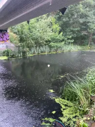 Nottekanal (Mittenwalde)-2