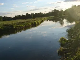 Leine (Neustadt am Rübenberge)