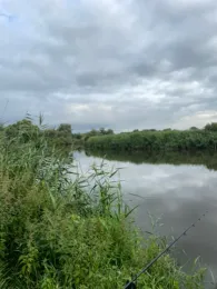 Leine (Neustadt am Rübenberge)-4