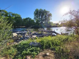 Leine (Neustadt am Rübenberge)-2