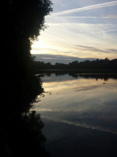 Werler See-3