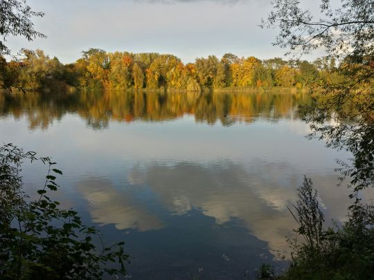 Werler See-2