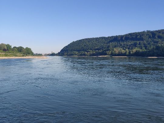 Rhein (Andernach)-4