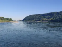 Rhein (Andernach)-4