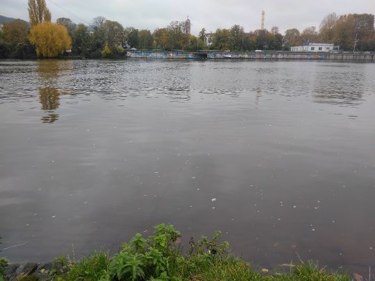 Neckar (Heidelberg)-1