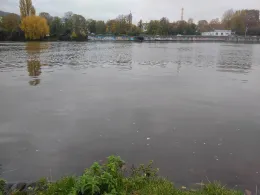 Neckar (Heidelberg)-1