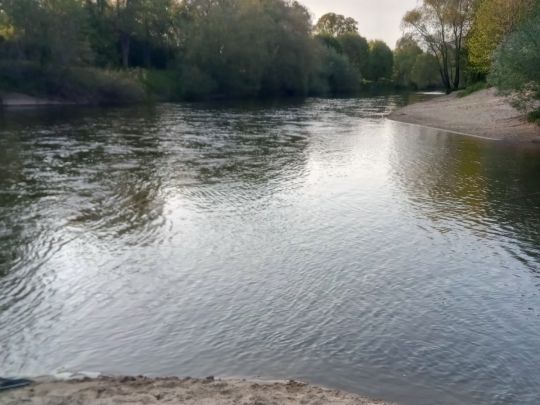Ems (Rheine)