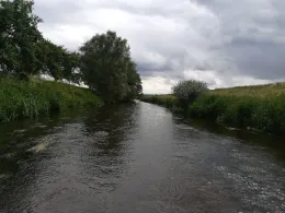 Gera (Walschleben)-1